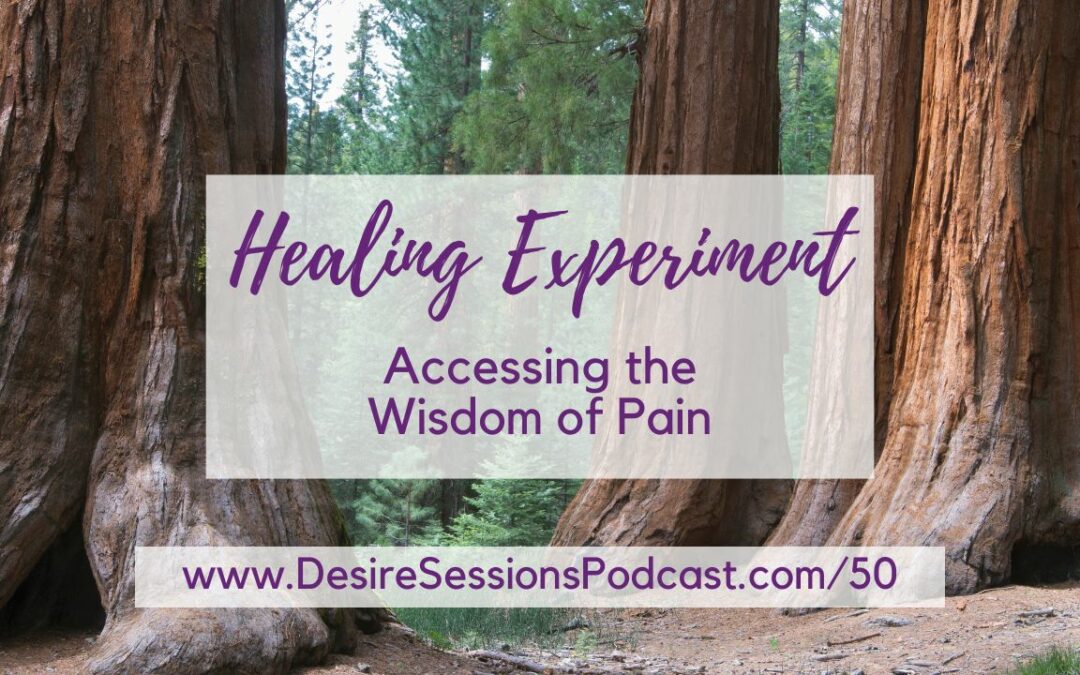 Accessing the Wisdom of Pain – A Hypnotic Healing Exploration #50